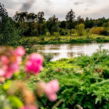 Holistyczne Ujecie Bed & Breakfast Kobyla ภายนอก รูปภาพ