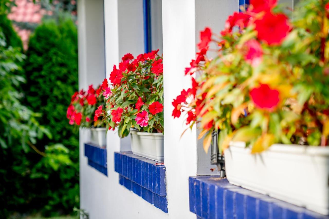 Holistyczne Ujecie Bed & Breakfast Kobyla ภายนอก รูปภาพ
