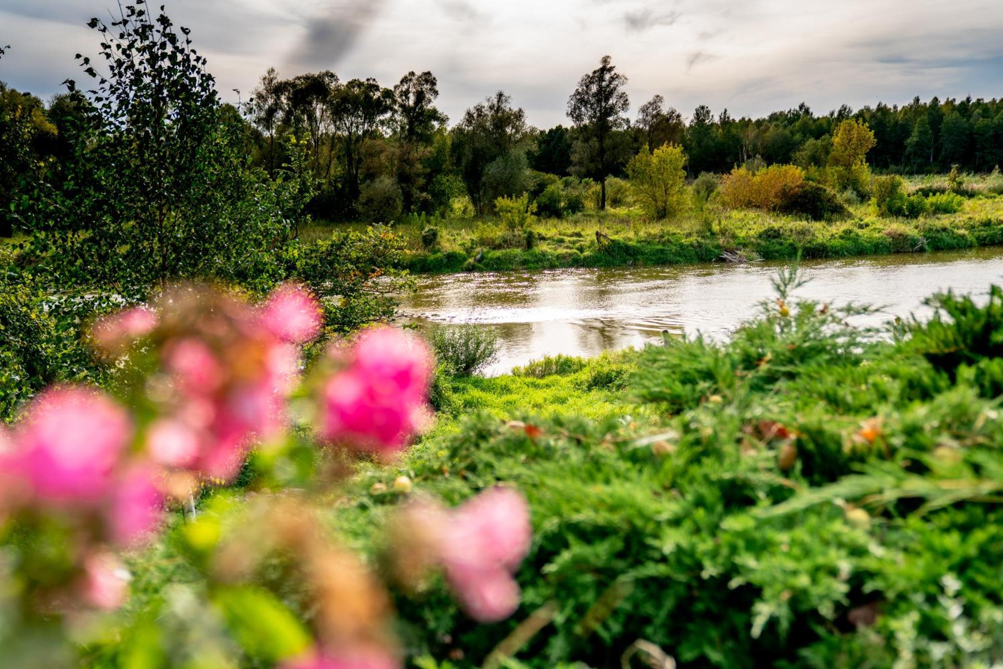 Holistyczne Ujecie Bed & Breakfast Kobyla ภายนอก รูปภาพ